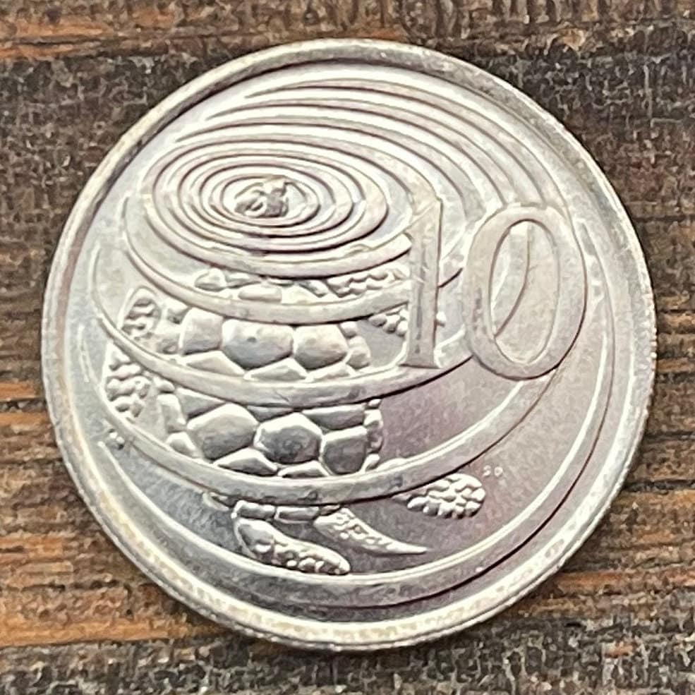 Sea Turtle Surfacing 10 Cents Cayman Islands Authentic Coin Money for Jewelry and Craft Making (Las Tortugas) (Green Sea Turtle)