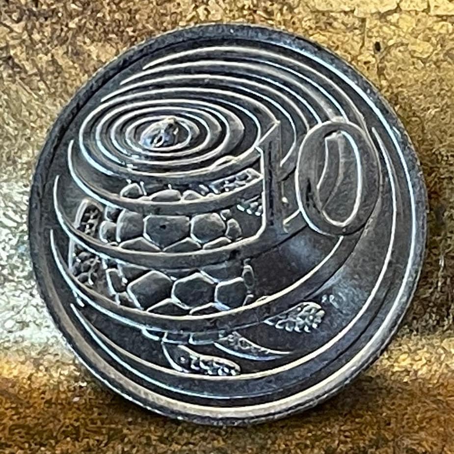 Sea Turtle Surfacing 10 Cents Cayman Islands Authentic Coin Money for Jewelry and Craft Making (Las Tortugas) (Green Sea Turtle)