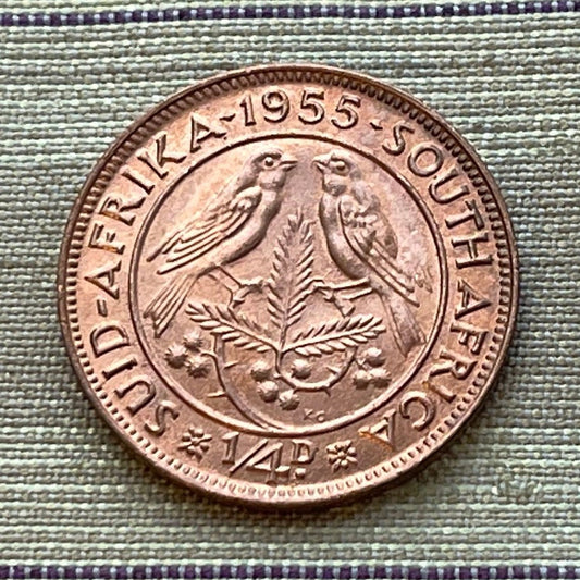 Cape Sparrows on Acacia Quarter-Penny South Africa Authentic Coin Money for Jewelry and Craft Making (1955) (Sweet Thorn) (Farthing)