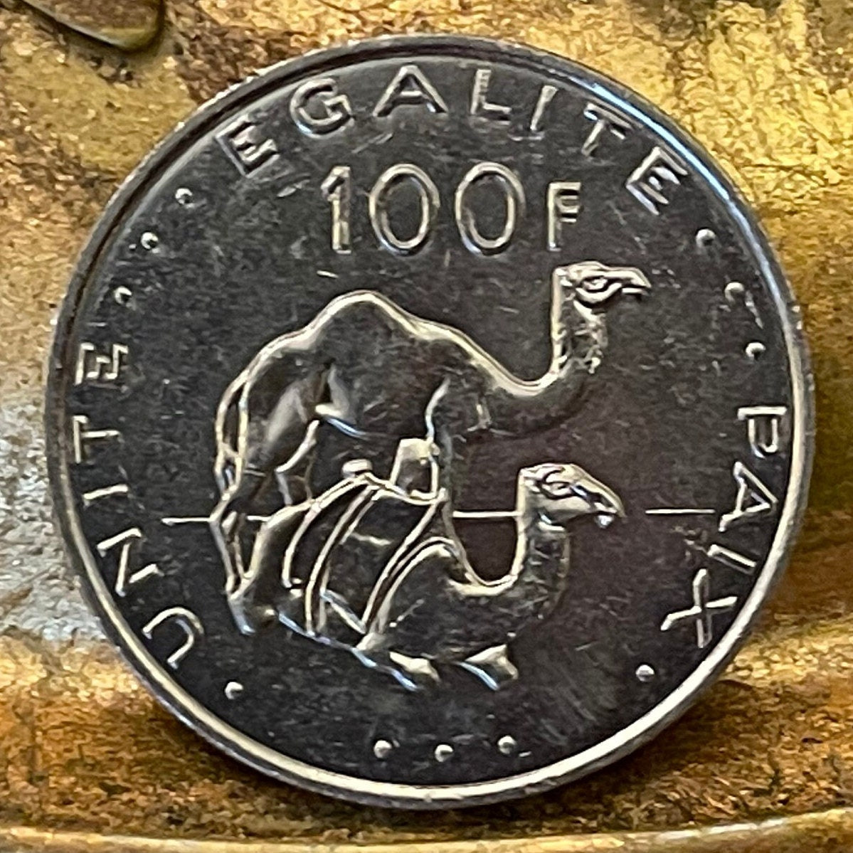 Dromedary Camels & Jile Daggers of Afar and Issa Tribes Djibouti 100 Francs Authentic Coin Money for Jewelry (Unity Equality Peace)