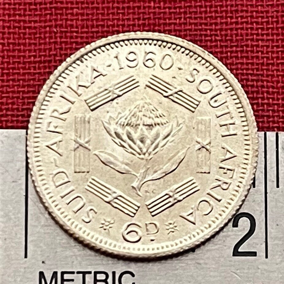 Sugar Bush Silver Sixpence South Africa Authentic Coin Money for Jewelry and Craft Making (1960) (Protea)
