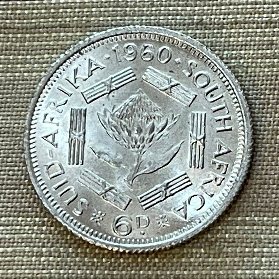 Sugar Bush Silver Sixpence South Africa Authentic Coin Money for Jewelry and Craft Making (1960) (Protea)