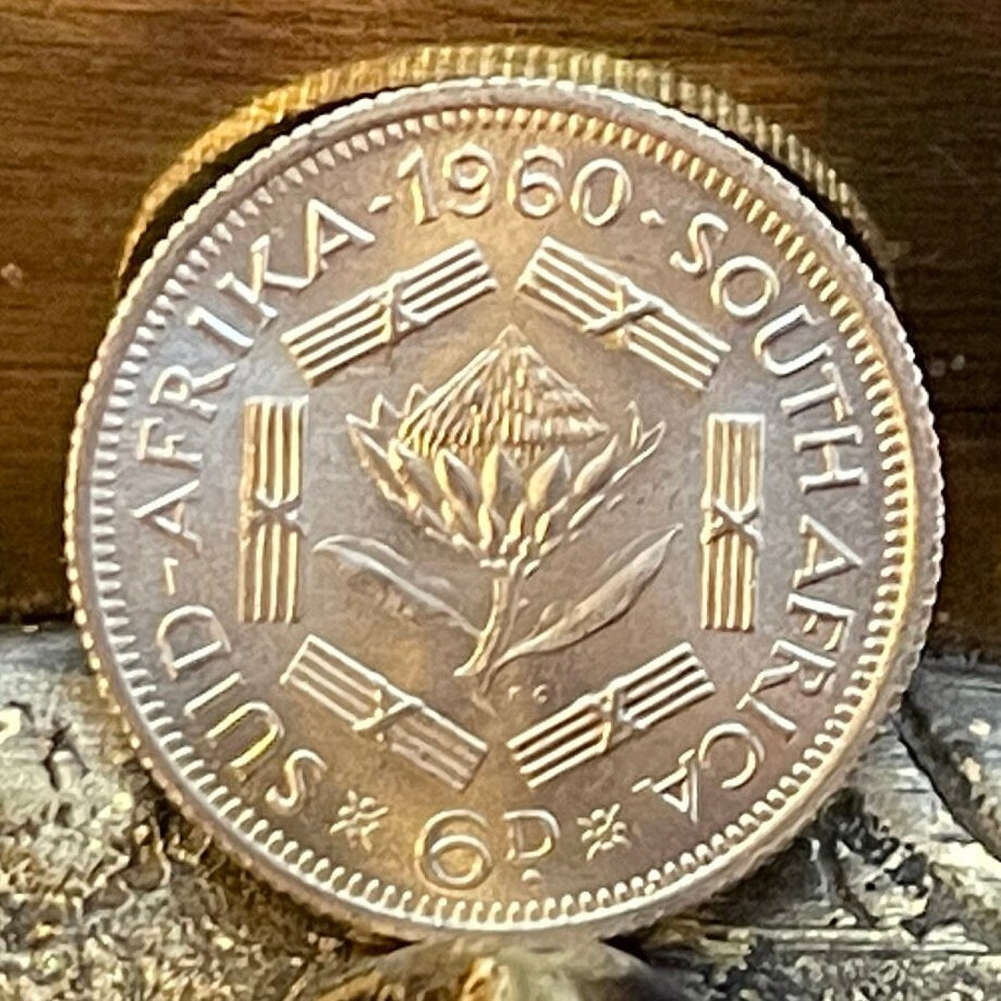 Sugar Bush Silver Sixpence South Africa Authentic Coin Money for Jewelry and Craft Making (1960) (Protea)