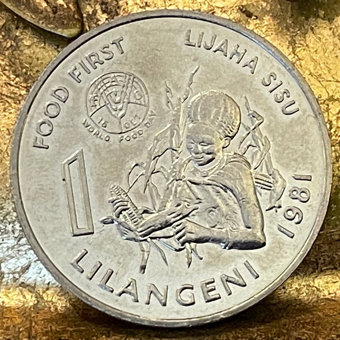 Woman with Beehive Sicolo Hairdo, Husking Corn & King Sobhuza 1 Lilangeni Swaziland Authentic Coin Money for Jewelry (1981) (Eswatini) Maize