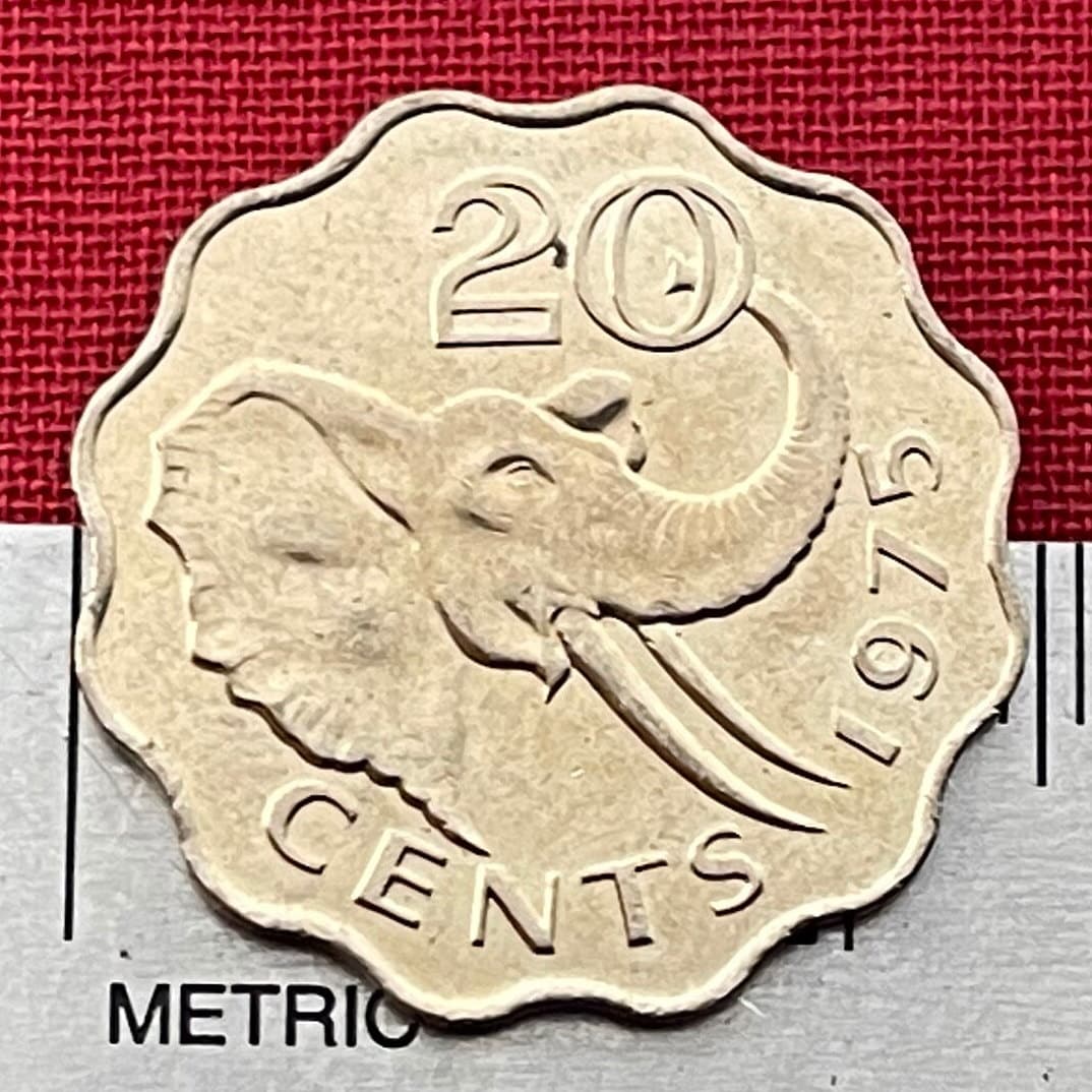 Bush Elephant & King Sobhuza II 20 Cents Swaziland Authentic Coin Money for Jewelry (Eswatini) (Scalloped Edge) (Savannah Elephant)