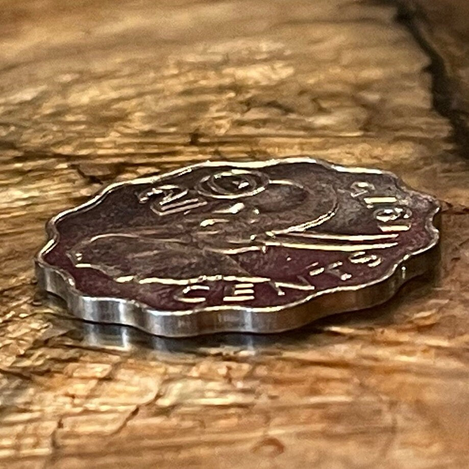 Bush Elephant & King Sobhuza II 20 Cents Swaziland Authentic Coin Money for Jewelry (Eswatini) (Scalloped Edge) (Savannah Elephant)