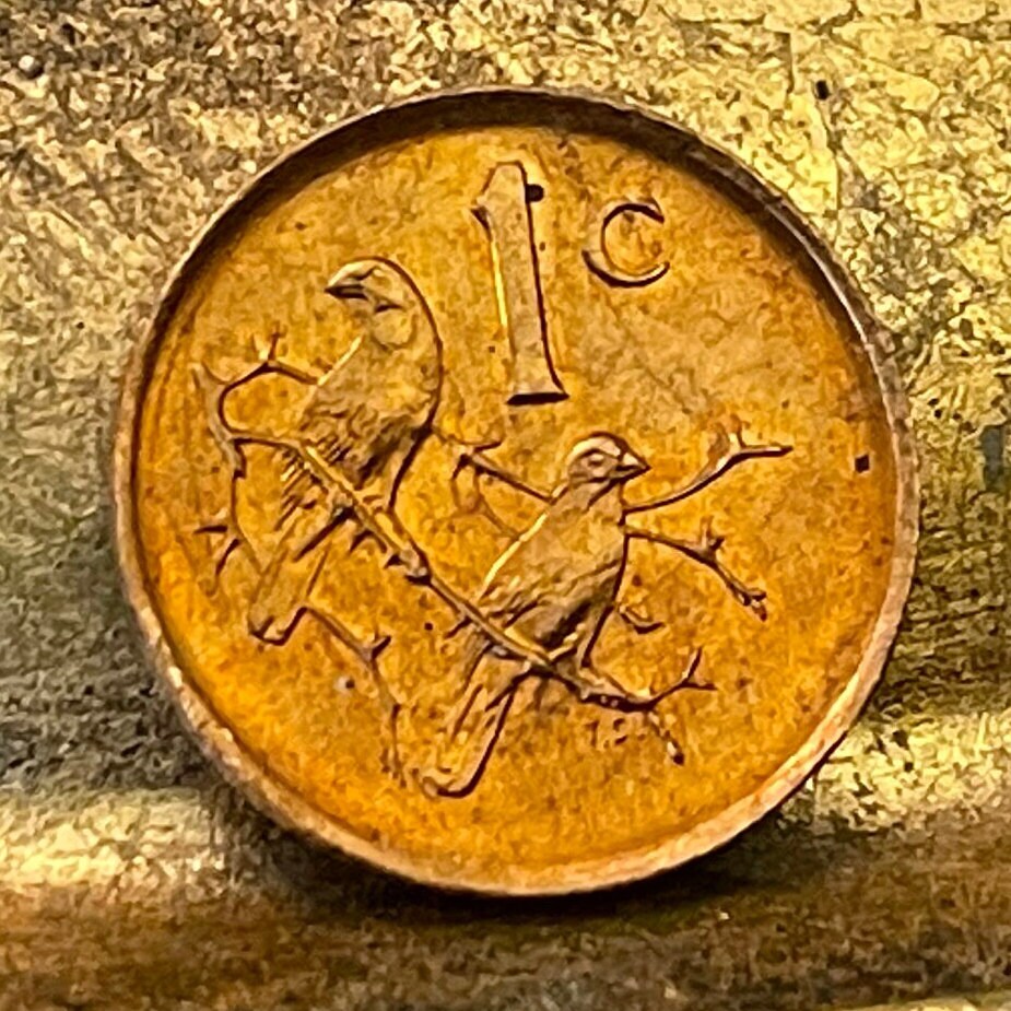Cape Sparrows 1 Cent South Africa Authentic Coin Money for Jewelry and Craft Making