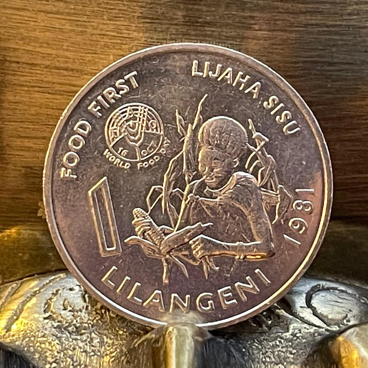 Woman with Beehive Sicolo Hairdo, Husking Corn & King Sobhuza 1 Lilangeni Swaziland Authentic Coin Money for Jewelry (1981) (Eswatini) Maize