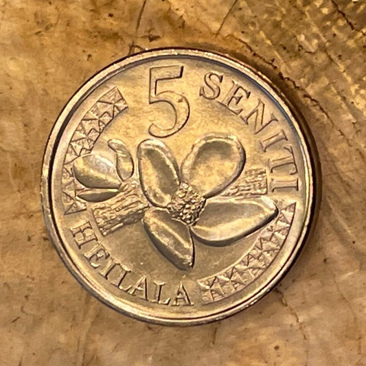 Heilala Flowers & King Tupou VI 5 Seniti Tonga Authentic Coin Money for Jewelry and Craft Making (2018)