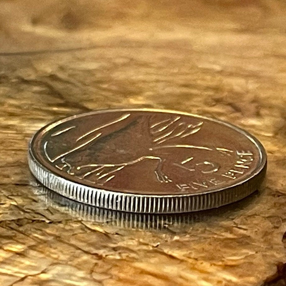 Wirebird 5 Pence Saint Helena Authentic Coin Money for Jewelry (Saint Helena Plover) (Ascension and Tristan da Cunha) 1984 (Napoleon Exile)