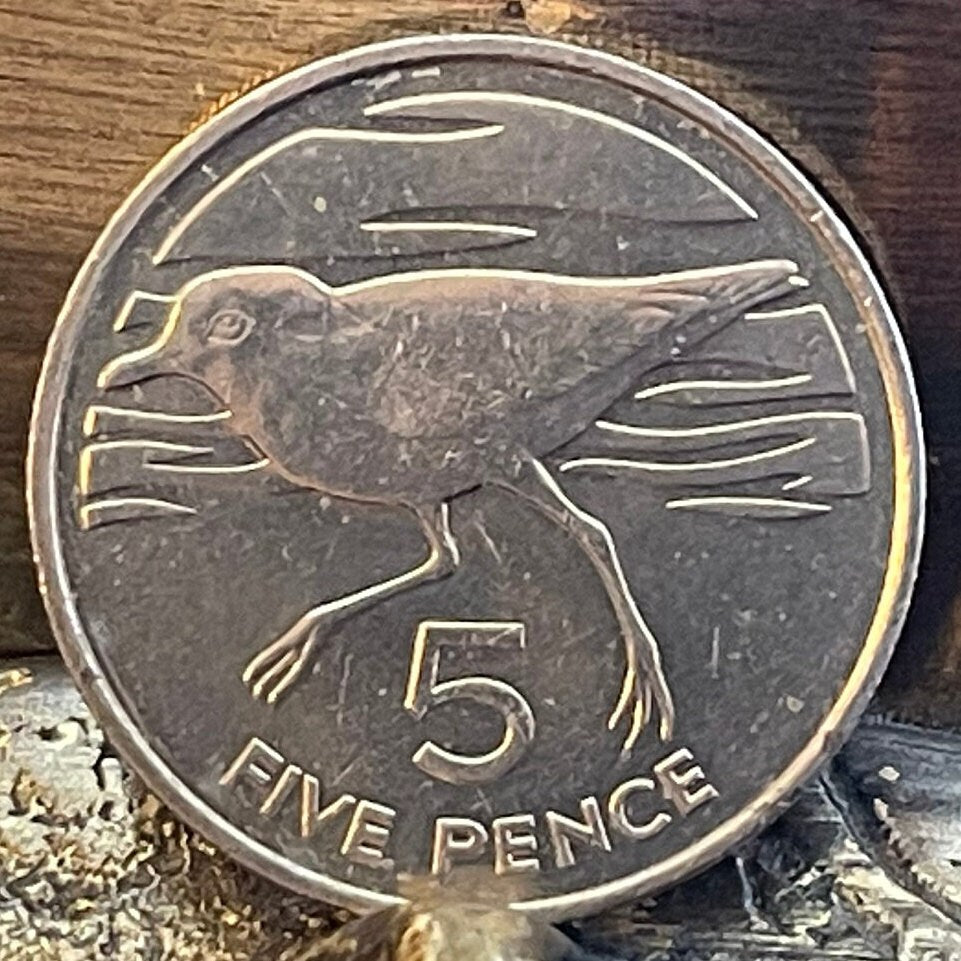 Wirebird 5 Pence Saint Helena Authentic Coin Money for Jewelry (Saint Helena Plover) (Ascension and Tristan da Cunha) 1984 (Napoleon Exile)