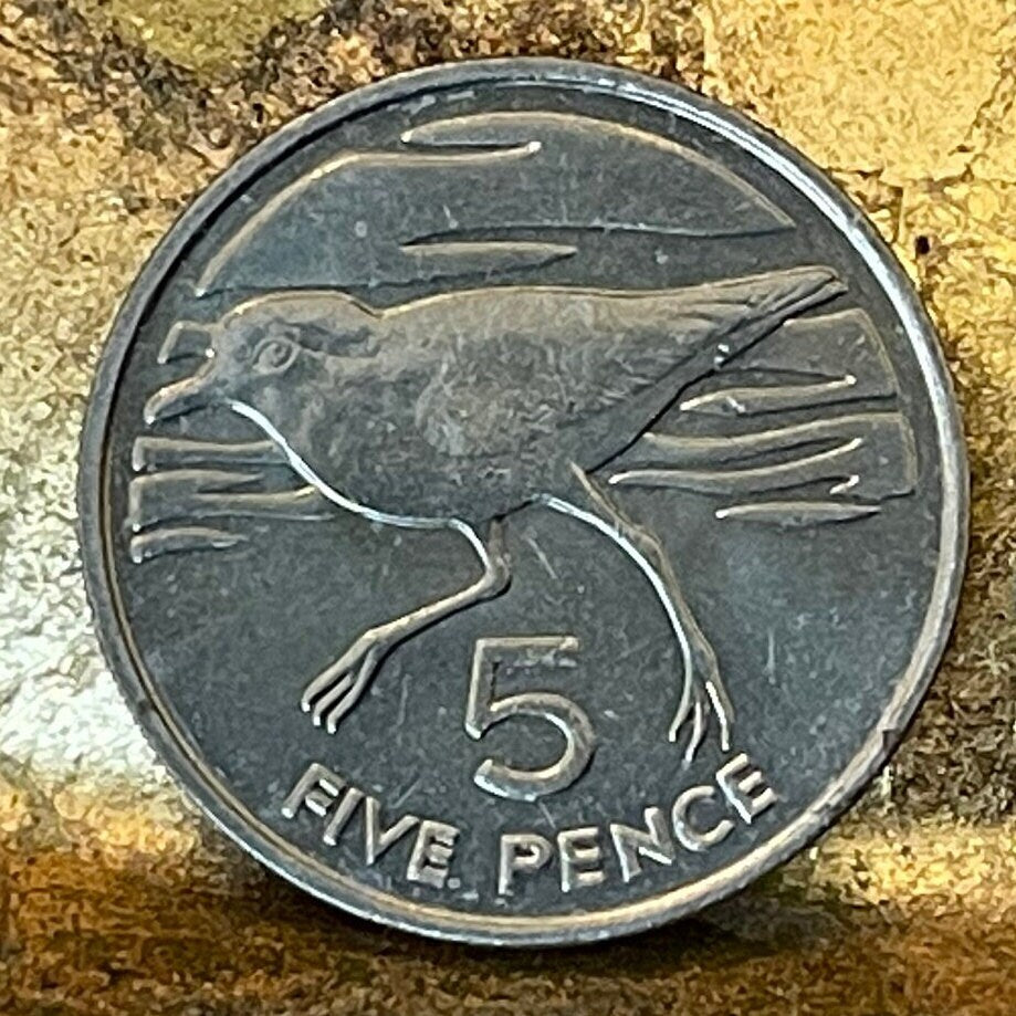 Wirebird 5 Pence Saint Helena Authentic Coin Money for Jewelry (Saint Helena Plover) (Ascension and Tristan da Cunha) 1984 (Napoleon Exile)