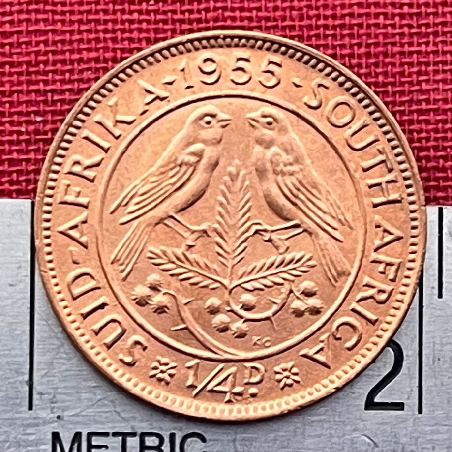 Cape Sparrows on Acacia Quarter-Penny South Africa Authentic Coin Money for Jewelry and Craft Making (1955) (Sweet Thorn) (Farthing)