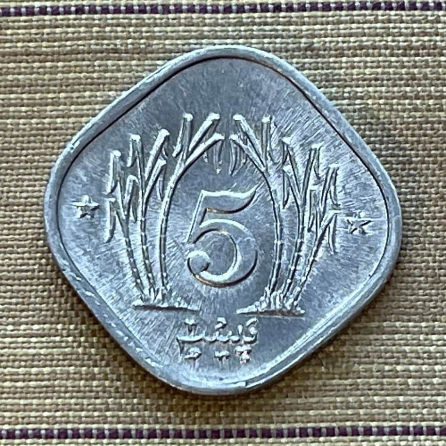 Star and Crescent 5 Paisa Pakistan Authentic Coin Money for Jewelry and Craft Making (Sugar Cane)