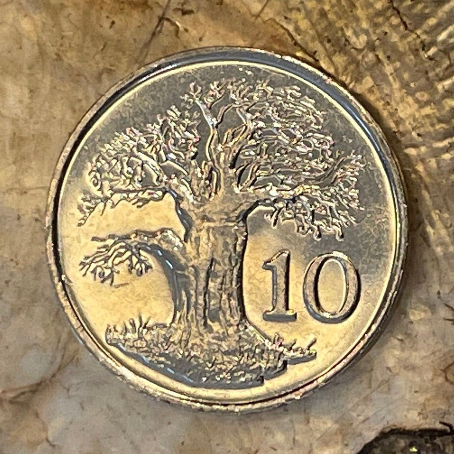 Baobab Tree & Zimbabwe Bird 10 Cents Bacheleur Eagle Authentic Coin Money for Jewelry and Craft Making