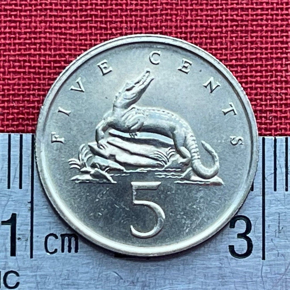 American Crocodile 5 Cents Jamaica Authentic Coin Money for Jewelry and Crafts Making (Eat You Alive) (Gobble You Up) (Crocodile Smile)