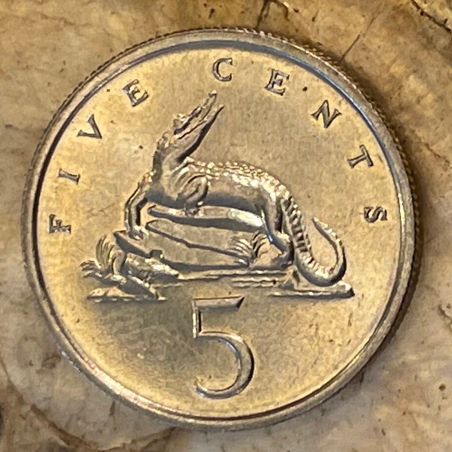 American Crocodile 5 Cents Jamaica Authentic Coin Money for Jewelry and Crafts Making (Eat You Alive) (Gobble You Up) (Crocodile Smile)