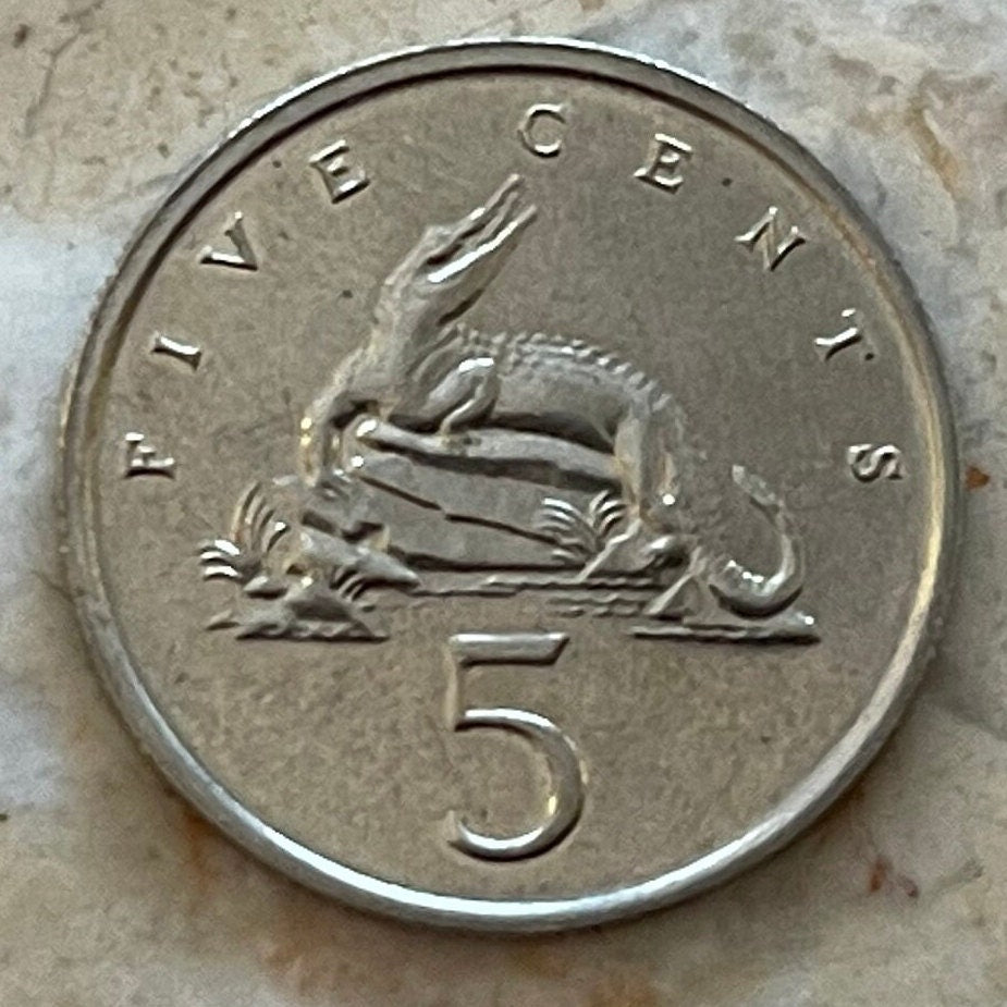 American Crocodile 5 Cents Jamaica Authentic Coin Money for Jewelry and Crafts Making (Eat You Alive) (Gobble You Up) (Crocodile Smile)