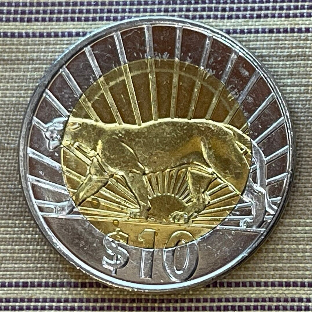 Cougar 10 Pesos Uruguay Authentic Coin Money for Jewelry and Craft Making (Puma) (Mountain Lion) (Panther) (Viracocha) (Bimetallic)
