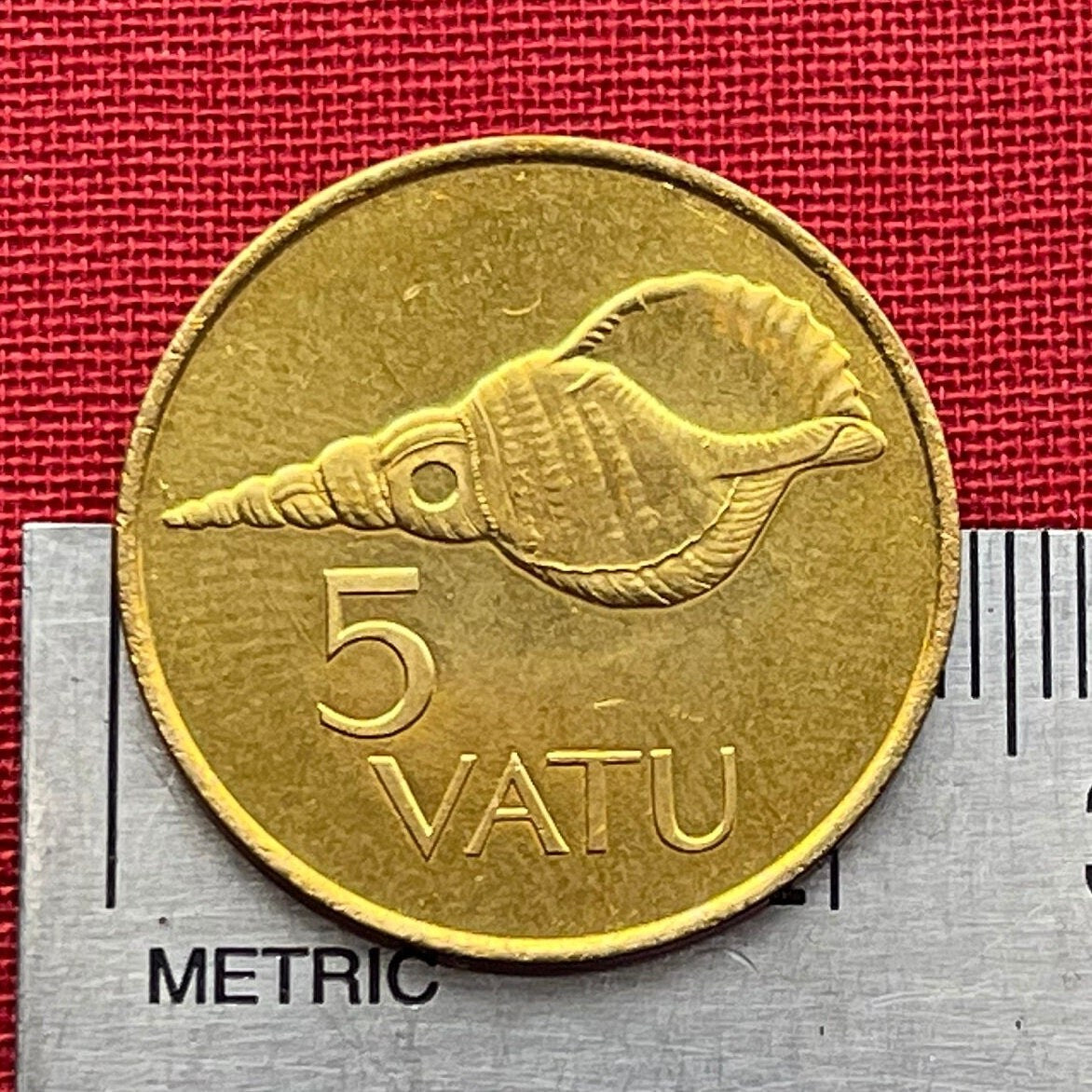 Triton Shell Trumpet (Large) 5 Vatu Vanuatu Authentic Coin Money for Jewelry and Craft Making (Horagai) (Sangu) (Pūtātara)