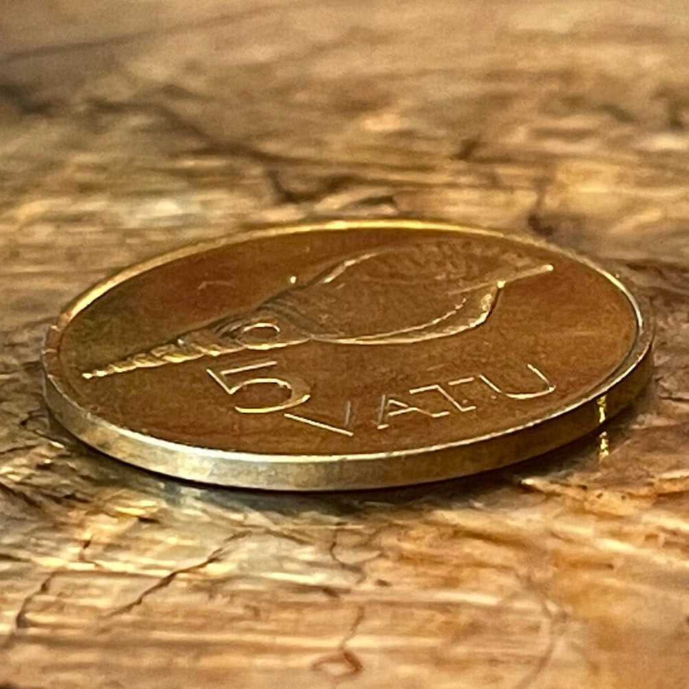 Triton Shell Trumpet (Large) 5 Vatu Vanuatu Authentic Coin Money for Jewelry and Craft Making (Horagai) (Sangu) (Pūtātara)