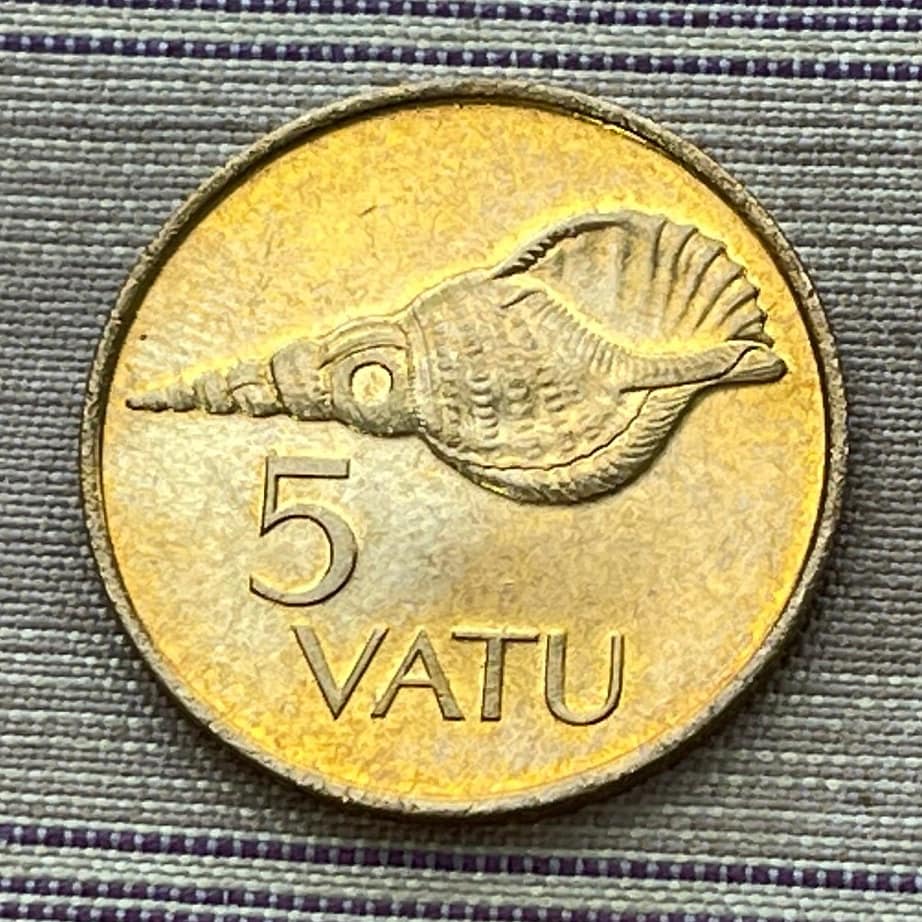 Triton Shell Trumpet (Large) 5 Vatu Vanuatu Authentic Coin Money for Jewelry and Craft Making (Horagai) (Sangu) (Pūtātara)