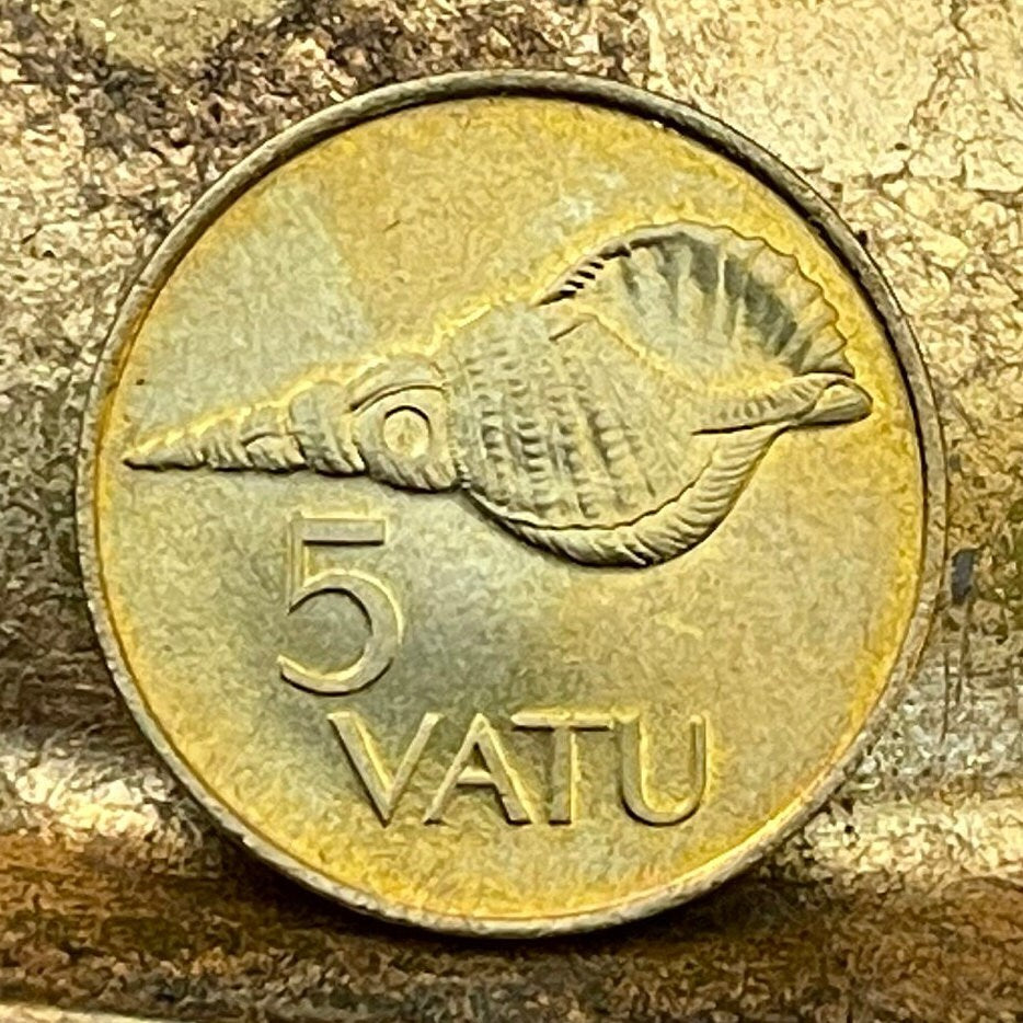 Triton Shell Trumpet (Large) 5 Vatu Vanuatu Authentic Coin Money for Jewelry and Craft Making (Horagai) (Sangu) (Pūtātara)