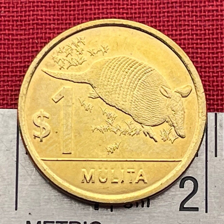 Armadillo 1 Peso Uruguay Authentic Coin Money for Jewelry and Craft Making (Mulita) (Hoover Hog) (Charango)
