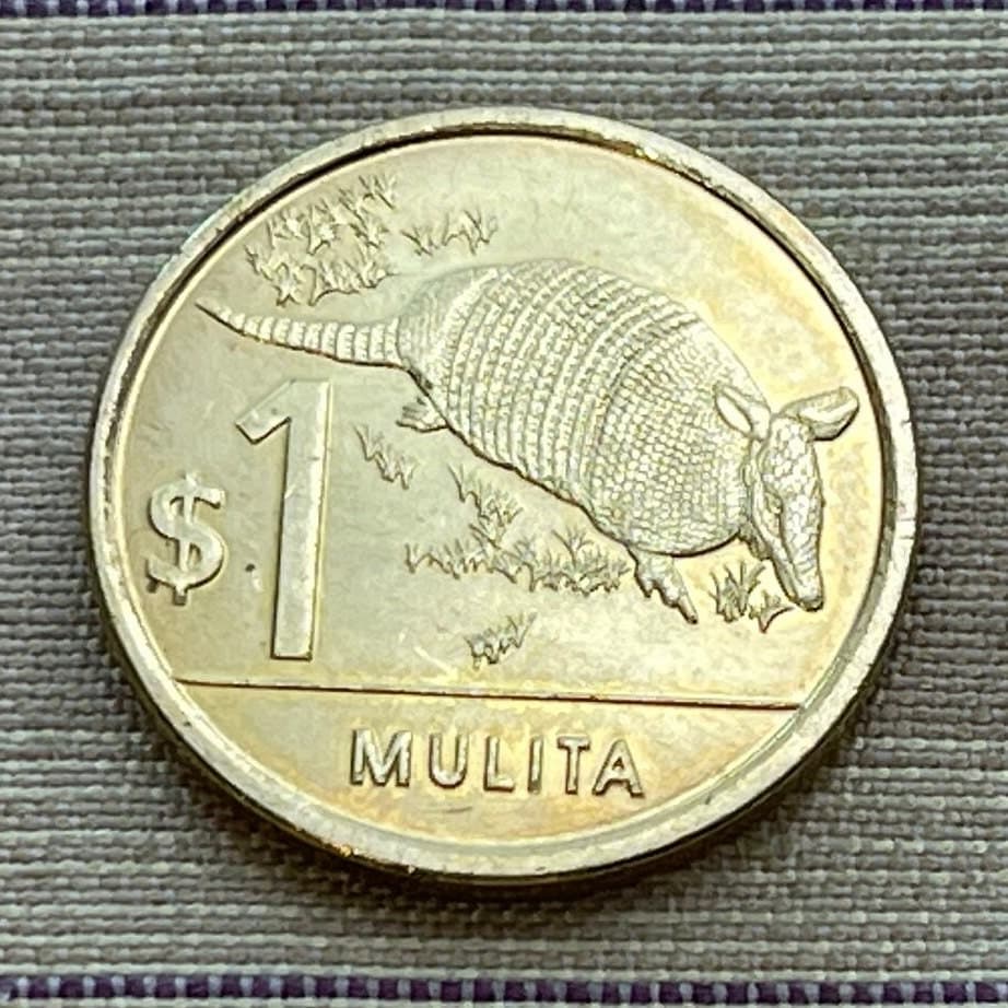 Armadillo 1 Peso Uruguay Authentic Coin Money for Jewelry and Craft Making (Mulita) (Hoover Hog) (Charango)