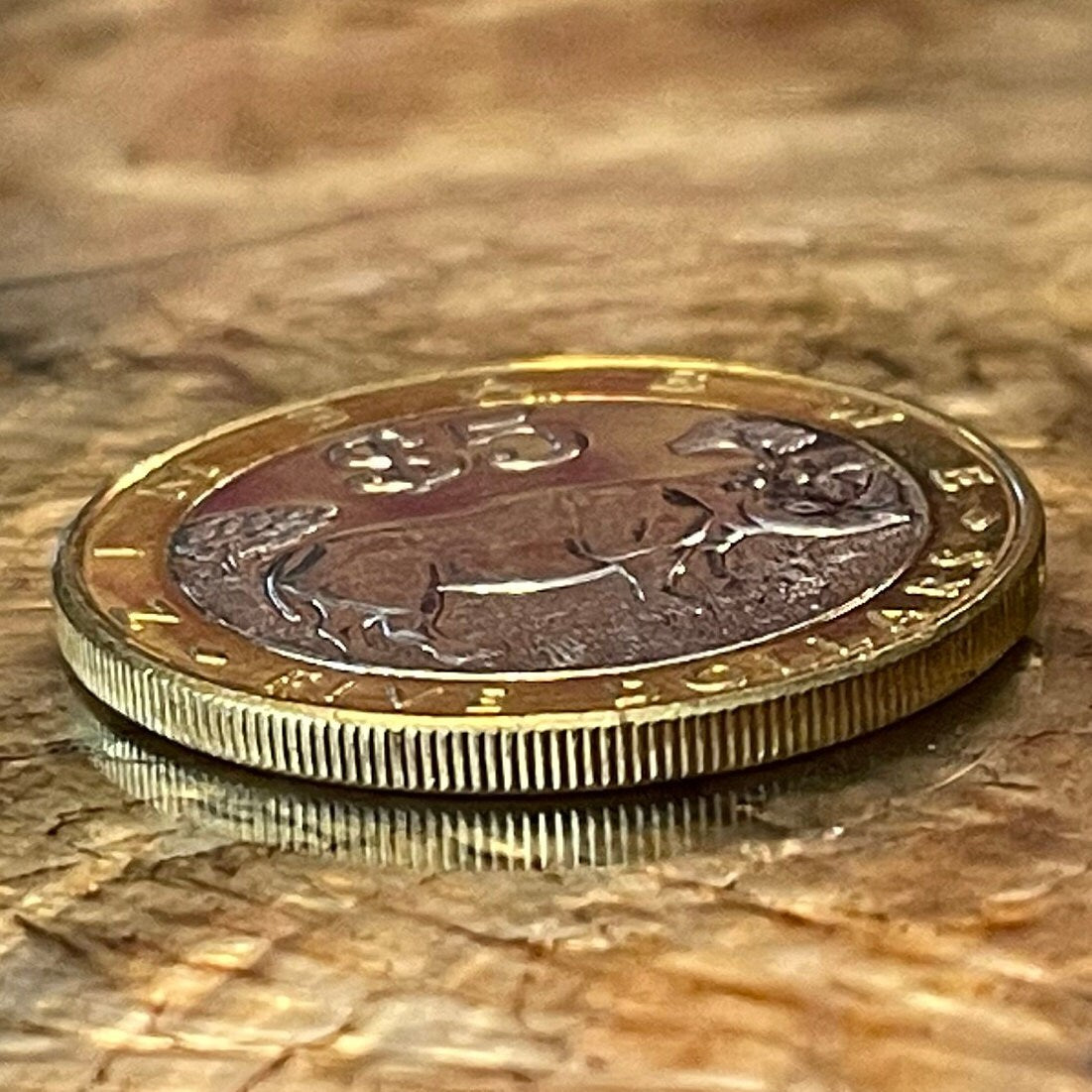 Black Rhinoceros & Great Zimbabwe Bird 5 Dollars Zimbabwe Authentic Coin Money for Jewelry and Craft Making (Bimetallic)