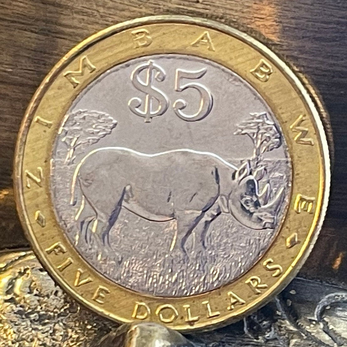 Black Rhinoceros & Great Zimbabwe Bird 5 Dollars Zimbabwe Authentic Coin Money for Jewelry and Craft Making (Bimetallic)