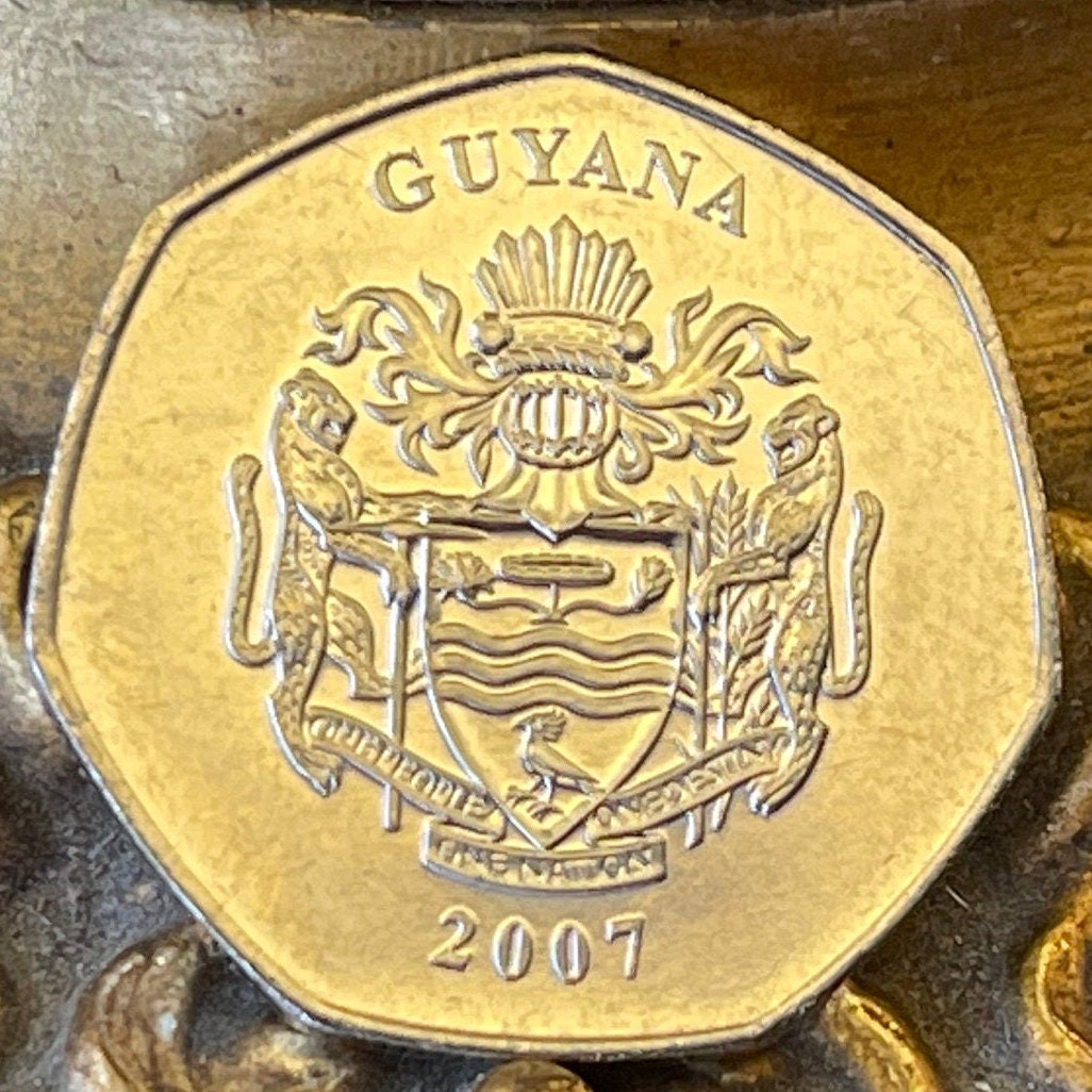 Pork-Knocker Gold Mining 10 Dollars Guyana Authentic Coin Money for Jewelry and Craft Making (Heptagonal 7-Sided) (Prospector)