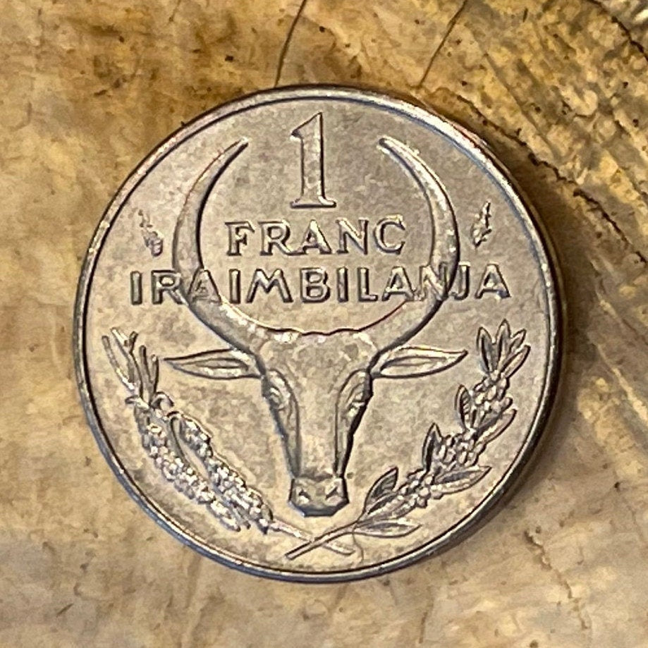 Poinsettia & Zebu 1 Franc Madagascar Authentic Coin Money for Jewelry and Craft Making (Christmas Flower)