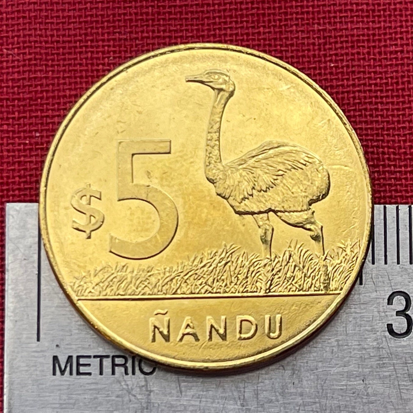 Greater Rhea 5 Pesos Uruguay Authentic Coin Money for Jewelry and Craft Making (Ñandu) (Ratite)