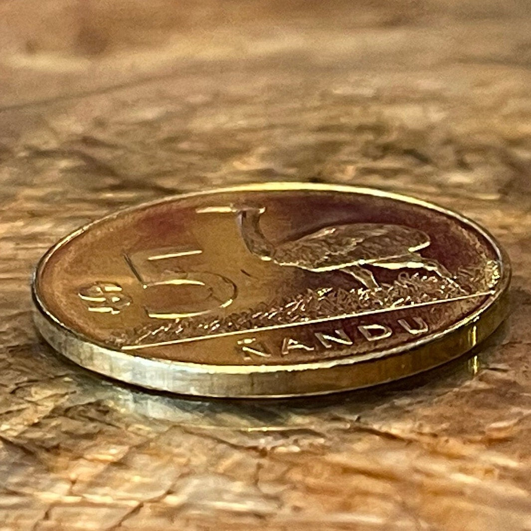 Greater Rhea 5 Pesos Uruguay Authentic Coin Money for Jewelry and Craft Making (Ñandu) (Ratite)