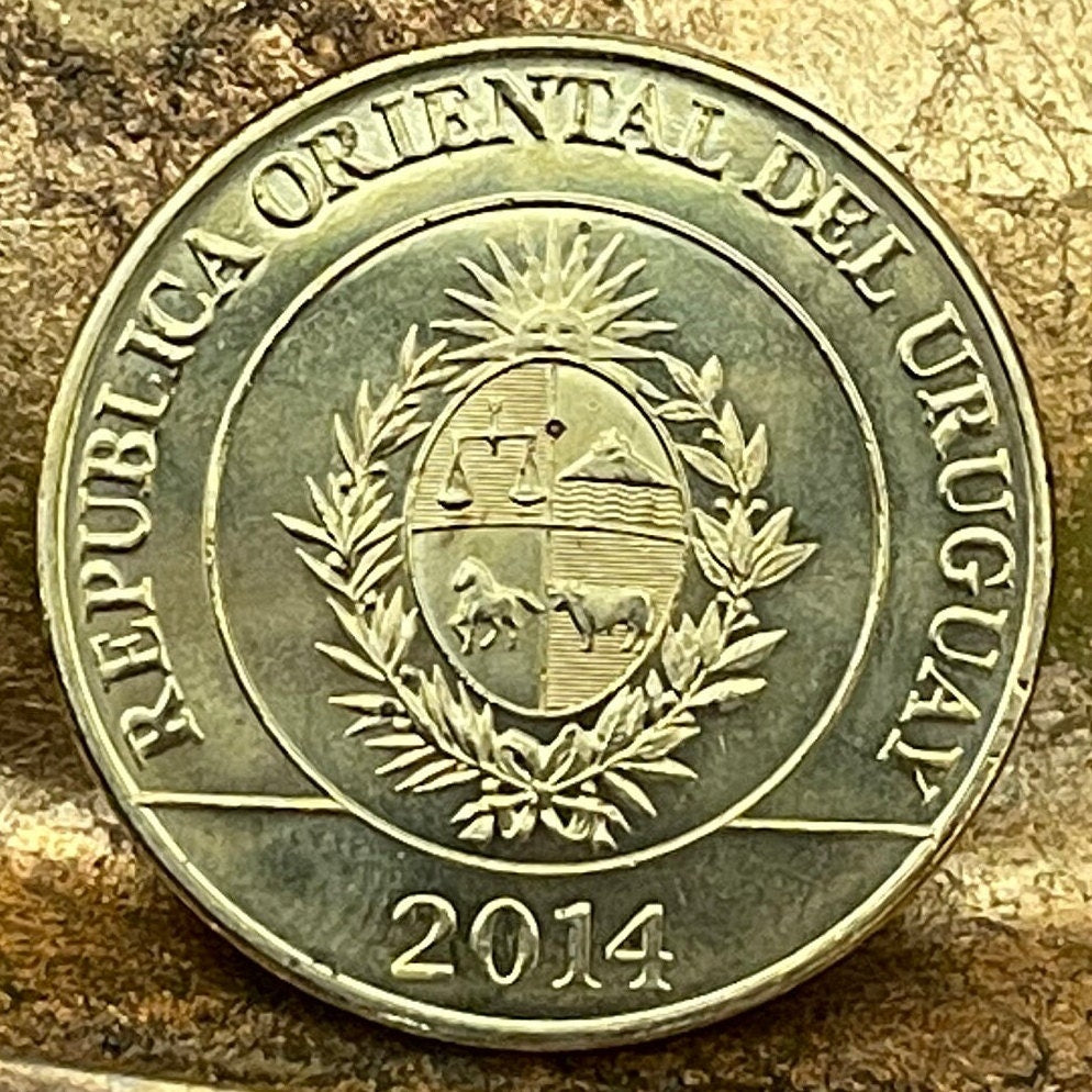 Greater Rhea 5 Pesos Uruguay Authentic Coin Money for Jewelry and Craft Making (Ñandu) (Ratite)