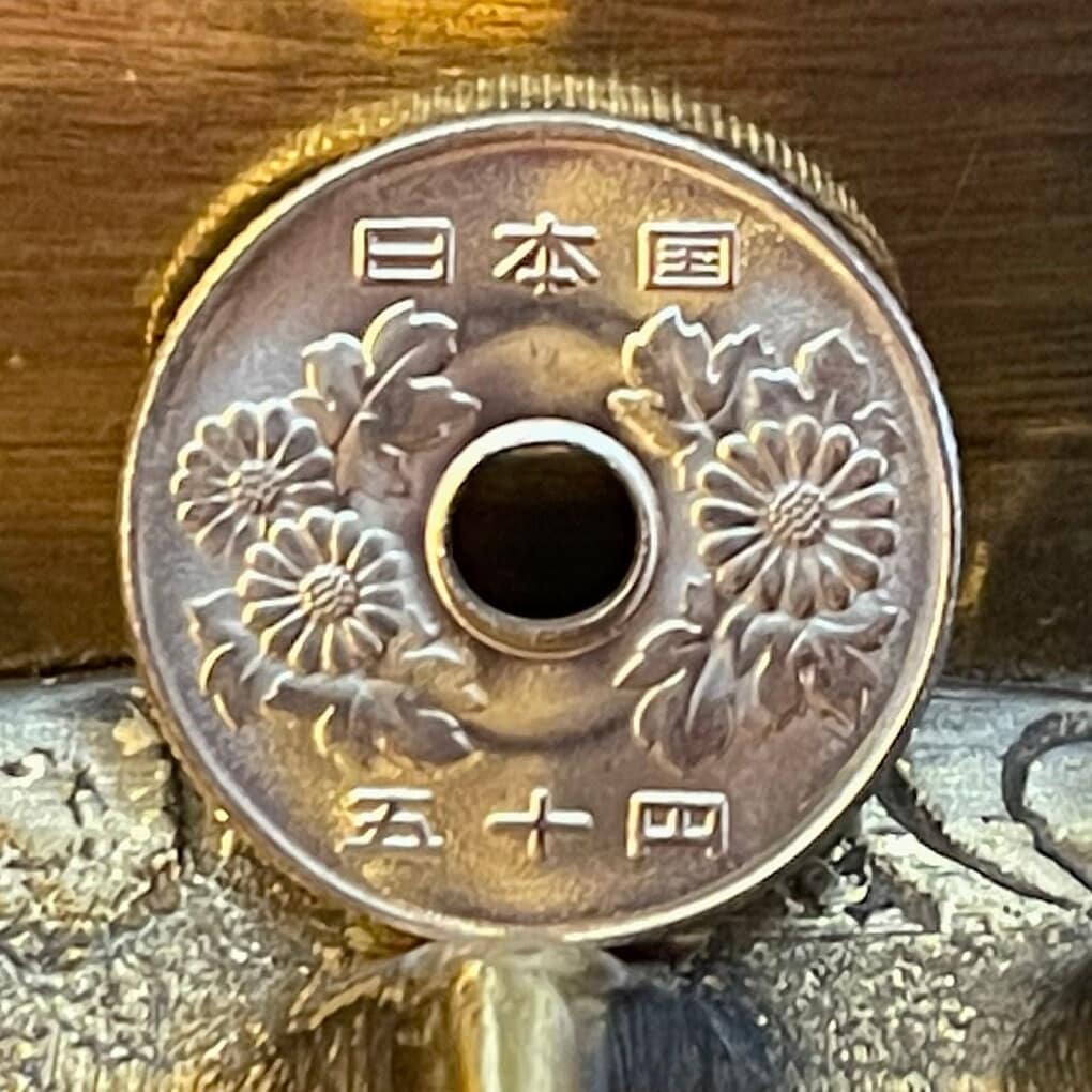 Chrysanthemums 50 Yen Japan Authentic Coin Money for Jewelry and Craft Making (Hole in Coin) (Imperial Family) (Kiku) (Longevity) (Nobility)