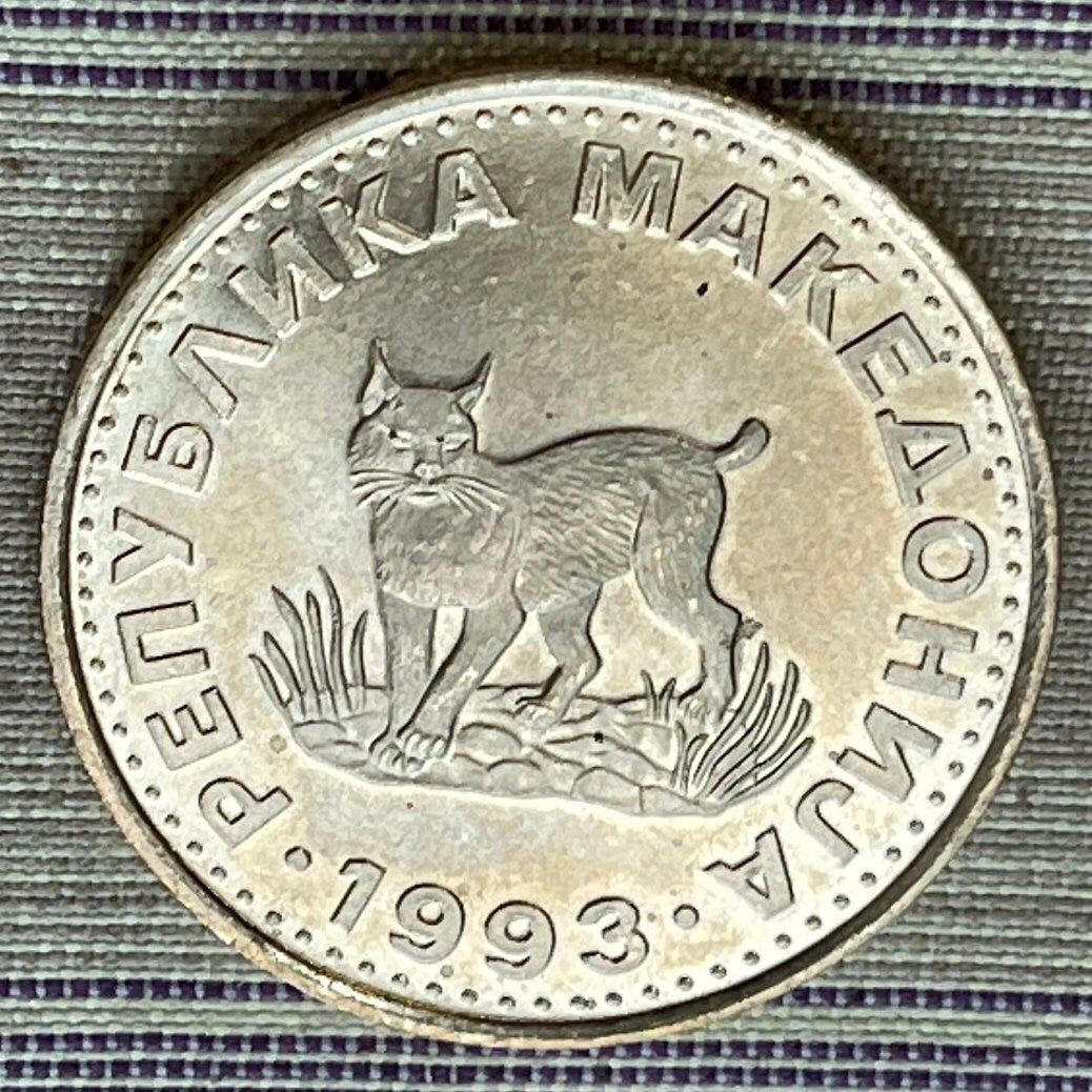 Balkan Lynx 5 Denari Macedonia Authentic Coin Money for Jewelry and Craft Making (Wild Cat)
