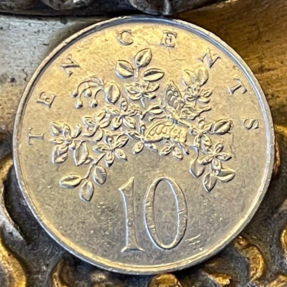 Homerus Swallowtail Butterfly & Roughbark Lignum-Vitae Flowers 10 Cents Jamaica Authentic Coin Money for Jewelry (CONDITION: FINE)