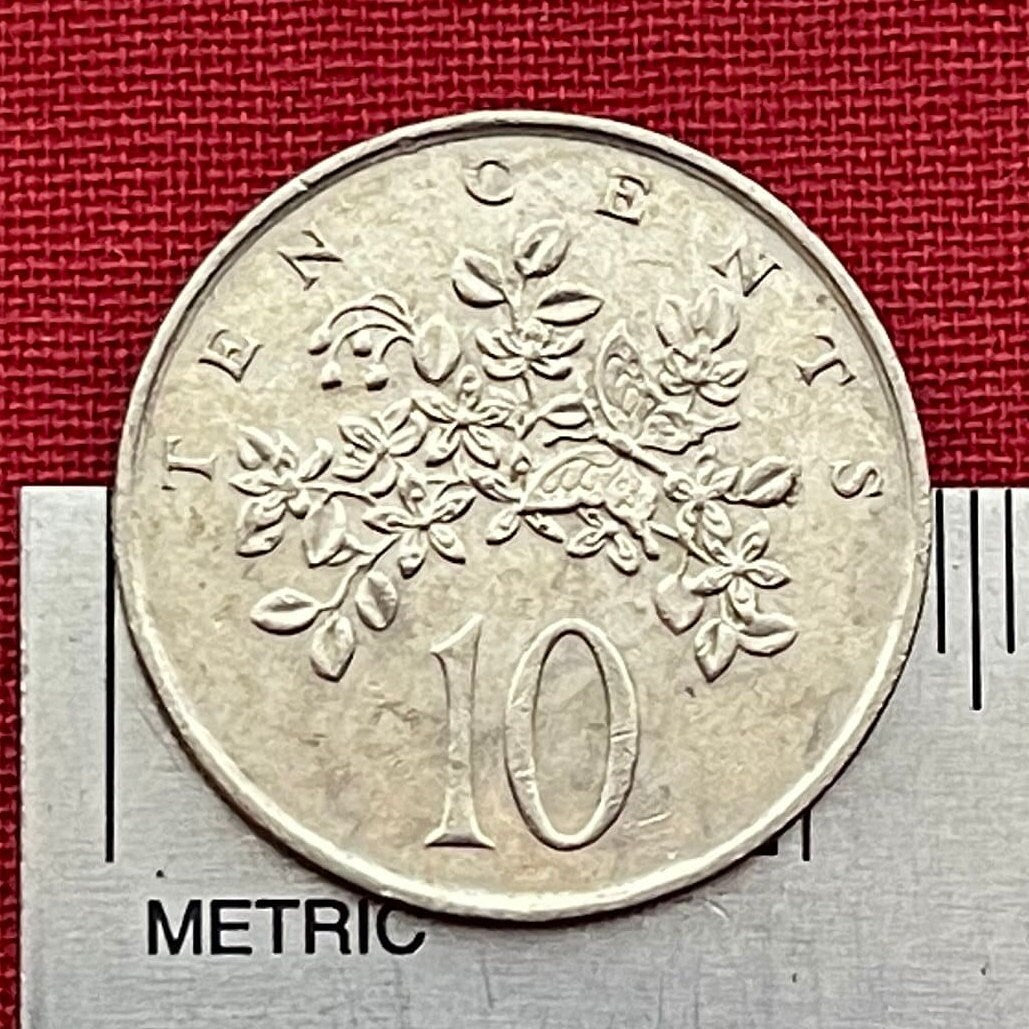 Homerus Swallowtail Butterfly & Roughbark Lignum-Vitae Flowers 10 Cents Jamaica Authentic Coin Money for Jewelry (CONDITION: FINE)
