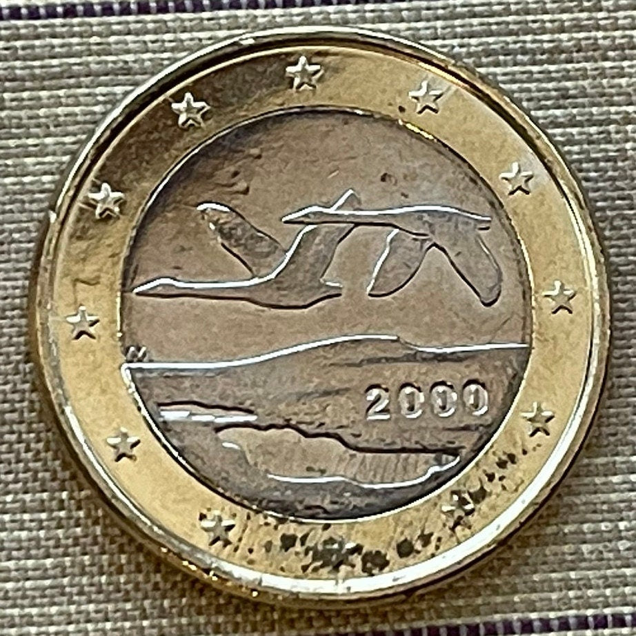 Whooper Swans 1 Euro Finland Authentic Coin Money for Jewelry and Craft Making (Trumpeter Swan) (Swan Song) (Wild Swan) (Bimetallic)