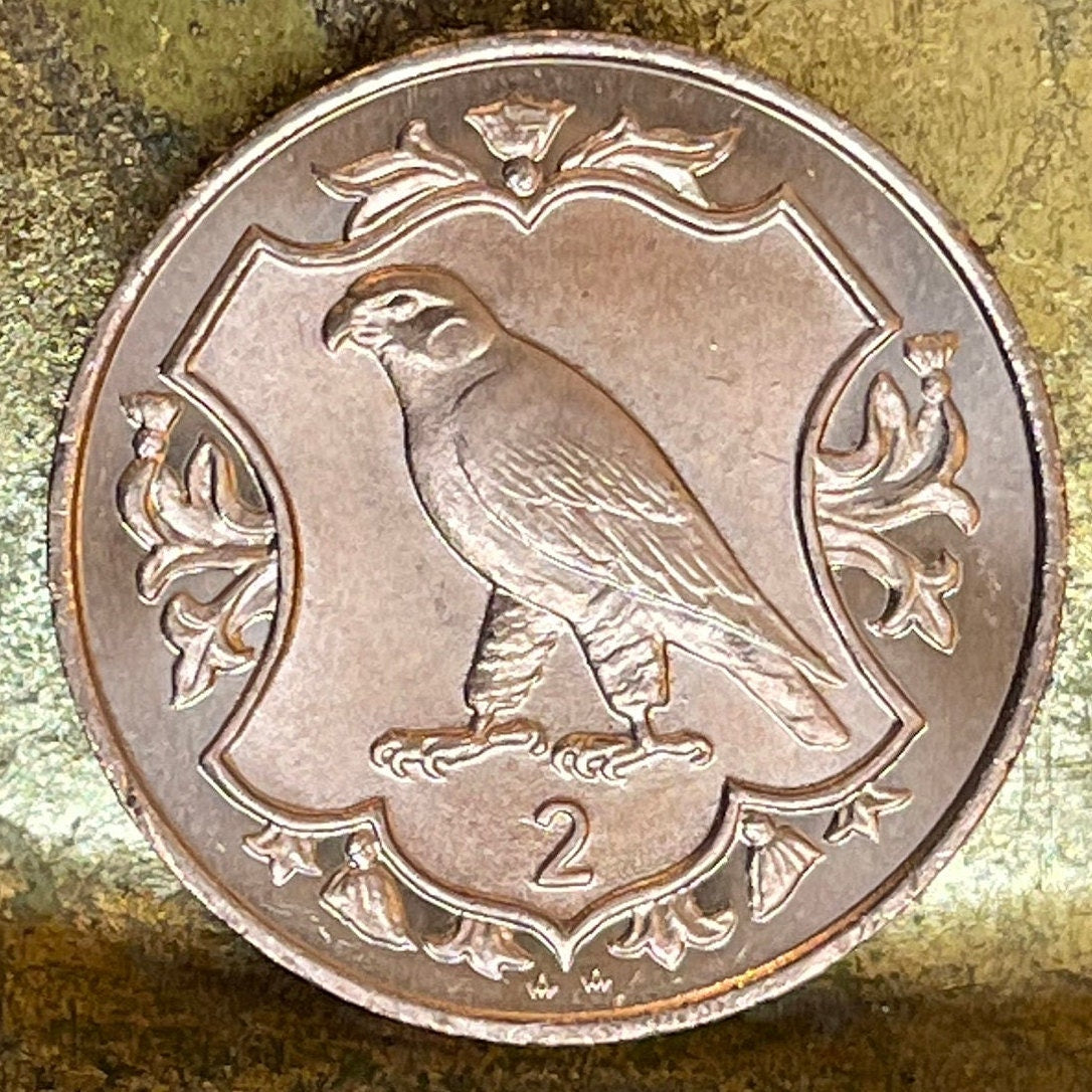 Peregrine Falcon 2 Pence Isle of Man Authentic Coin Money for Jewelry and Craft Making