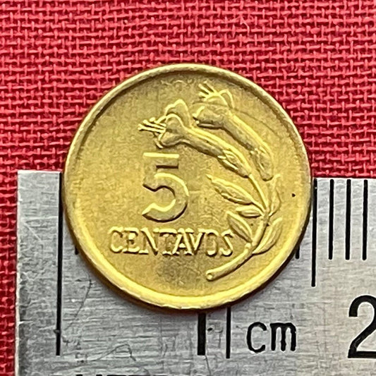 Cinchona Quinine Flower 5 Centavos Peru Authentic Coin Money for Jewelry (Malaria) (Medicinal) (Get Well Soon) (Curative) (Tonic Water)