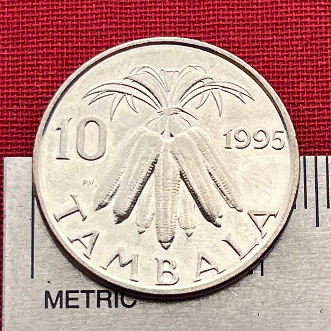Corn Maize Sheaf 10 Tambala Malawi Authentic Coin Money for Jewelry and Craft Making