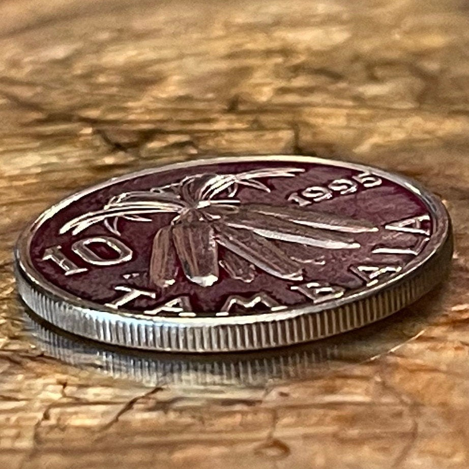 Corn Maize Sheaf 10 Tambala Malawi Authentic Coin Money for Jewelry and Craft Making