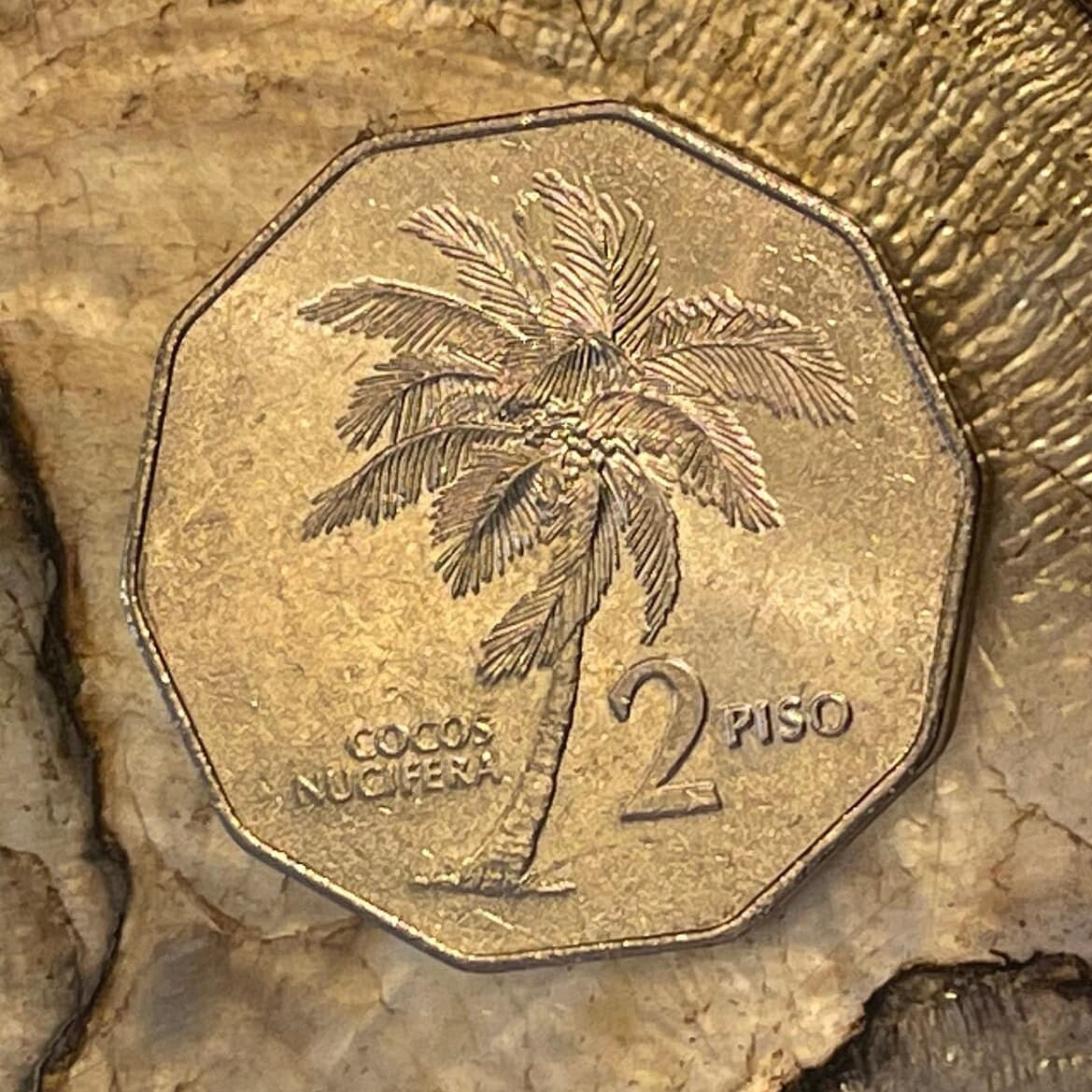 President Andrés Bonifacio & Coconut Palm 2 Piso Philippines Authentic Coin Money for Jewelry (Tree of Life) (Decagonal) (10-Sided) (Beach)