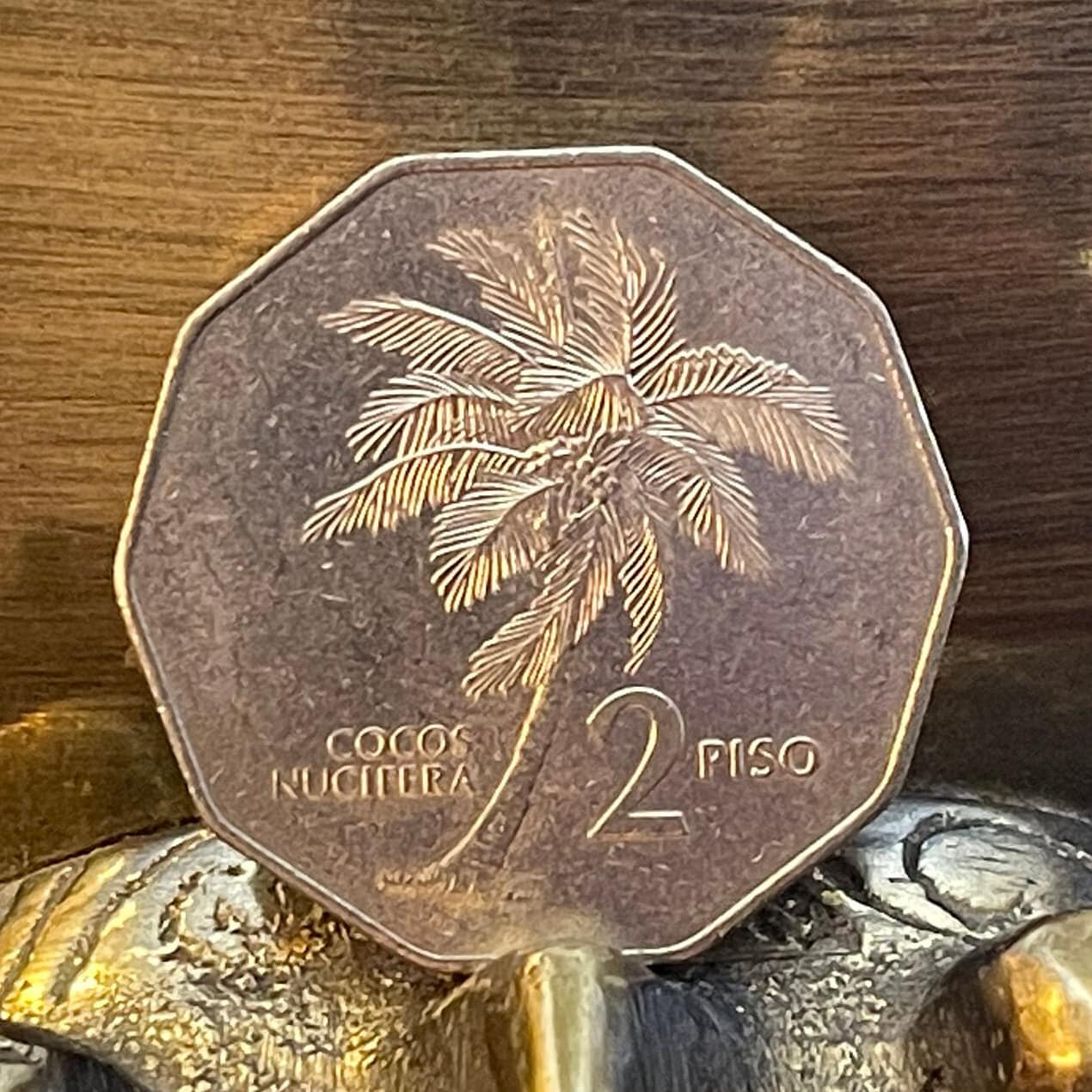 President Andrés Bonifacio & Coconut Palm 2 Piso Philippines Authentic Coin Money for Jewelry (Tree of Life) (Decagonal) (10-Sided) (Beach)