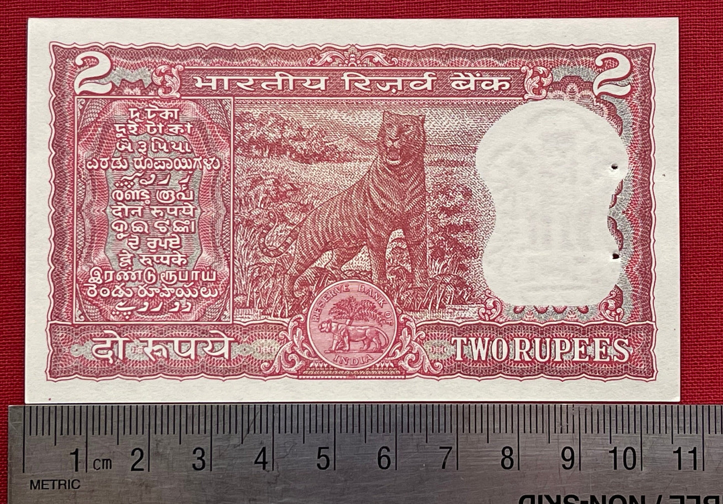 Royal Bengal Tiger & Ashoka Lion Capitol 2 Rupees India Authentic Banknote Money for Jewelry and Crafts Making (Watermark)