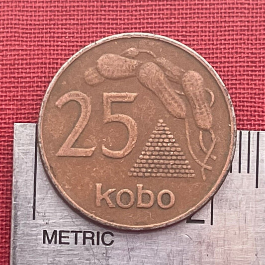 Peanut Pyramid & Peanuts 25 Kobo Nigeria Authentic Coin Money for Jewelry and Craft Making (Groundnut Pyramid)