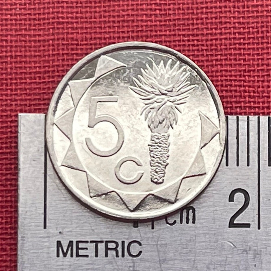 Aloe Plant 5 Cents Namibia Authentic Coin Money for Jewelry and Craft Making (Mopane Aloe) (Aloe Lotion)